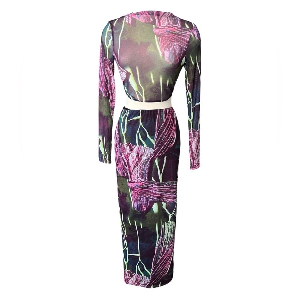 Blanc Sheer Mesh 2 Piece Set Bodycon Cutout Dress Set Night Club Wear Edgy